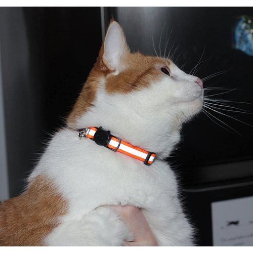 Upgraded Version - Reflective Cat Collar with Bell, Set of 6, Solid & Safe Collars for Cats, Nylon, Mixed Colors, Pet Collar, Breakaway Cat Collar Charms, Free Replacement