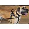 DT Universal No Pull Dog Harness, On Duty, Black, Small, Fits Girth Size: 24-Inch to 27-Inch