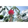 DUNNRITE Products Outdoor Pool and Beach Volleyball Choose from Two Colors (Hot Pink)