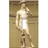 Art Plates Single Gang Toggle Switch Plate Cover - Decorative Michelangelo's David Printed Wall Plate (Made in USA)