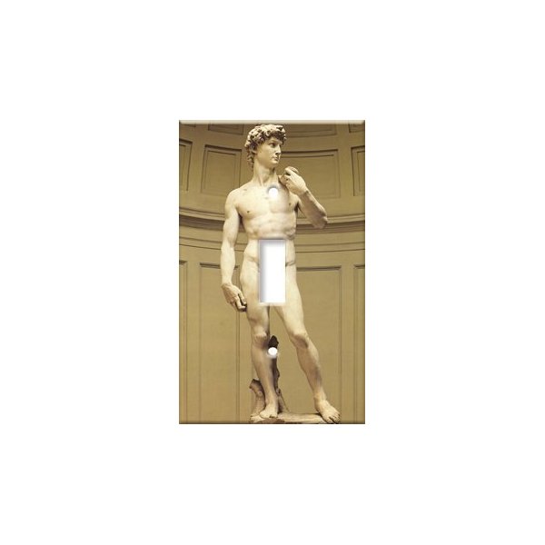 Art Plates Single Gang Toggle Switch Plate Cover - Decorative Michelangelo's David Printed Wall Plate (Made in USA)