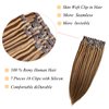 Clip in Hair Extensions-Chocolate Brown to Blonde Highlights Human Hair Extensions Skin Weft Remy Straight Seamless Clip in Real Hair Extensions Seamless Weft Clip in Real Extensions for Women