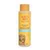 Burt's Bees for Pets Natural Itch Soothing Shampoo with Honeysuckle | Anti-Itch Dog Shampoo for All Dogs | Cruelty Free, Sulfate & Paraben Free, pH Balanced for Dogs - Made in the USA, 16 Ounces