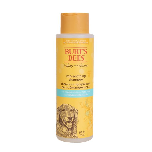 Burt's Bees for Pets Natural Itch Soothing Shampoo with Honeysuckle | Anti-Itch Dog Shampoo for All Dogs | Cruelty Free, Sulfate & Paraben Free, pH Balanced for Dogs - Made in the USA, 16 Ounces