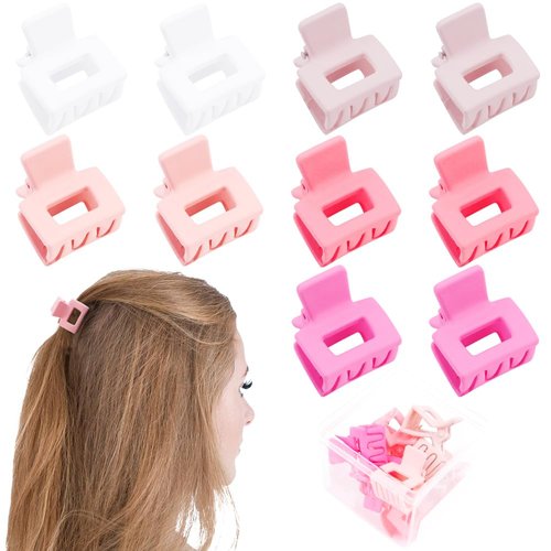 Ahoney 10Pcs Pink Hair Claw Clips for Women Girls, 1" Mini Matte Small Hair Clips for Thin Thick Medium Hair Cute Jaw Clips Strong Hold Hair Barrettes Clip with Gift Box (Pink)