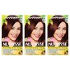 Garnier Nutrisse Nourishing Hair Color Creme, 434 Deep Chestnut Brown, 3 Count (Packaging May Vary)