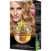 Garnier Olia Ammonia-Free Brilliant Color Oil-Rich Permanent Hair Color, 8.0 Medium Blonde (1 Kit) Blonde Hair Dye (Packaging May Vary)