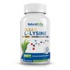 Natural Cure Labs Clean L-Lysine 600mg, 120 Capsules | Vegan, Non-GMO, & Gluten Free