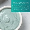 SPA REDI - Clay Mask, Mint and Eucalyptus, 16 Oz - Pedicure and Body Deep Cleansing, Skin Pore Purifying, Detoxifying and Hydrating