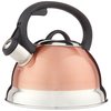 Mr. Coffee Flintshire Stainless Steel Whistling Tea Kettle W/Nylon Handle, 1.75-Quart, Copper