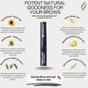 Invictus Inventory Premium Eyebrow and Lash Growth Serum is Designed to Stimulate Growth, Enhance Density, and Improve Overall Brow Health- 9.75 ML- Made in USA in a FDA registrated facility., Black
