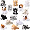 Leitee 16 Pcs Cat Stuffed Animals Bulk 5 Inch Kitten Plush Toy Assorted Cute Stuffed Cat Small Fluffy Stuffed Animal Toy for Classroom School Pet Birthday Party Favor Supplies(Lovely Style)