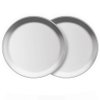 AIYoo Stainless Steel Plates 2 Set Metal Dinner Dishes 10 Inch Reusable Dinner Plates Great for Picnic,Outdoor Camping,BBQ plate,Steak plate,Shatterproof Dishwasher Safe