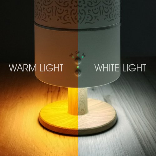 Earnest Living Essential Oil Diffuser Lamp Diffuser 260ml Timers Night Lights and Auto Off Function Home Office Humidifier Aromatherapy Diffusers for Essential Oils Classic White