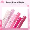 modelones Acrylic Powder 6 Colors, Pink Tones Glitter Spring Acrylic Nail Powder, Neon Pink Shades Magenta Sakura Light Soft to Dark for Valentine's Nail Art 3D Nail Carving French Nail Extension
