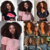 ANNISOUL Curly Lace front Wigs for Black Women Highlight Ombre Curly lace front Wig Synthetic Hair Pre Plucked 13x4x1HD Long Glueless Curly Afro Wig Black and Brown Synthetic Lace Frontal Wig