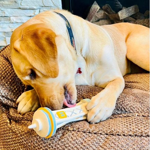 Space Needle Officially Licensed Dog Toy