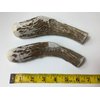 Antler Man® Premium Jumbo Deer Antler Pieces - Dog Chews - Sold by The Pound