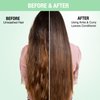 Nykaa Naturals Amla and Curry Leaves Conditioner - Anti Frizz, Smoothens, and Strengthens - Rich in Vitamin C, Antioxidants and Amino Acids - 6.08 oz