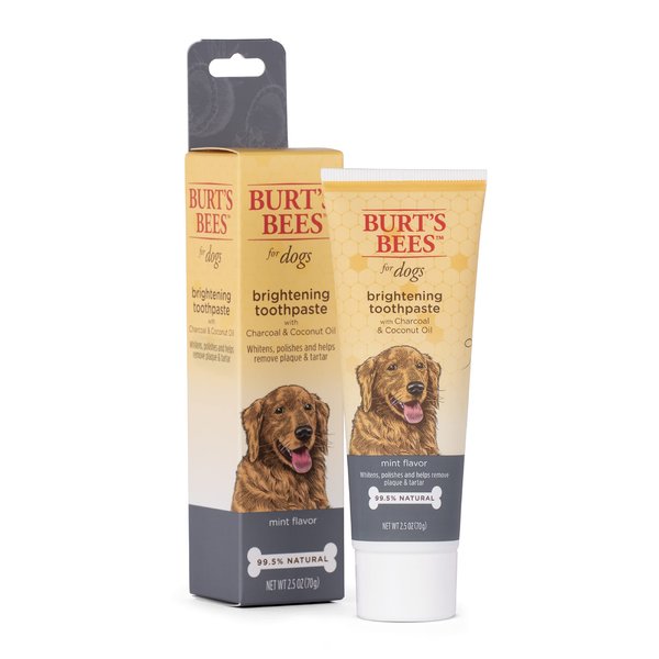 Burt's Bees for Pets Charcoal & Coconut Oil Brightening Toothpaste for Dogs with Charcoal & Coconut Oil | 99.5% Natural Dog Toothpaste in Mint Flavor | Dog Oral Care Dog Toothpaste, 2.5 Oz