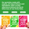 HOLYMARY Yerba Mate Gummies, Quince Flavor - Real, Unroasted Yerba Mate. No Added Caffeine. Boost Energy and Focus Naturally. Vegan, Non-GMO, Gluten-Free - 1 Pack (6 Gummies)