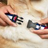 Dog Collar Plastic Clip Colorado Flag Snowboarder Blue White Red Yellow 9 to 15 Inches 1.0 Inch Wide