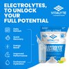 Vitalyte Electrolyte Powder Drink Mix, Isotonic Electrolyte Hydration Mix, Gluten Free Post Workout Powder Mix, Pack of 1, 35 oz., Cool Citrus Flavor