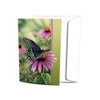 Tree-Free Greetings EcoNotes Stationary- Blank Note Cards with Envelopes, 4" x 6", Moments Rest, Boxed Set of 12 (FS66504)