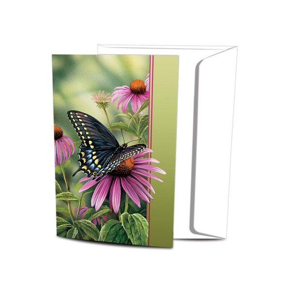 Tree-Free Greetings EcoNotes Stationary- Blank Note Cards with Envelopes, 4" x 6", Moments Rest, Boxed Set of 12 (FS66504)