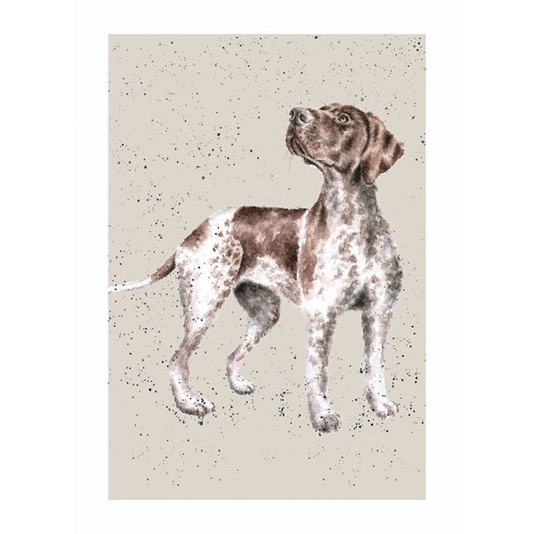 Wrendale Designs Greeting Card - GERMAN SHORTHAIRED POINTER (Fara)