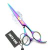 5.5 Inches Hair Cutting Scissors Set with Razor Combs Lether Scissors Case,Hair Cutting Shears Hair Thinning Shears for Personal and Professional (Raibow)