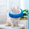 EXPAWLORER Cat Surgery Recovery Collar - Adjustable Donut Cat Cone Collar Soft, Pet E Collar for Wound Healing Protective Elizabethan Collars for Pets Kitten and Small Dogs, Cute Shark Design