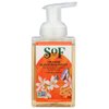 South of France Foaming Hand Wash Orange Blossom Honey -- 8 fl oz - 2PC