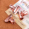 Yalis Push Pins Clips 15-Count, Pinning No Holes for Paper, Creative Paper Clips with Tack for Cork Board and Photo Wall (Rose Gold)