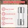 20 Pieces 0.14 x 0.39 Inch Christmas Lights Fuse Replacement Christmas Tree Light Fuses 3A 125 Volt Fast Blow Glass Fuse String Lights Fuse Replacement for LED Lights Outdoor String Lights (3A)