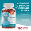Chapter One Immunity Gummies, Elderberry, Zinc and Vitamin C, Certified Kosher (120 Flavored Gummies)