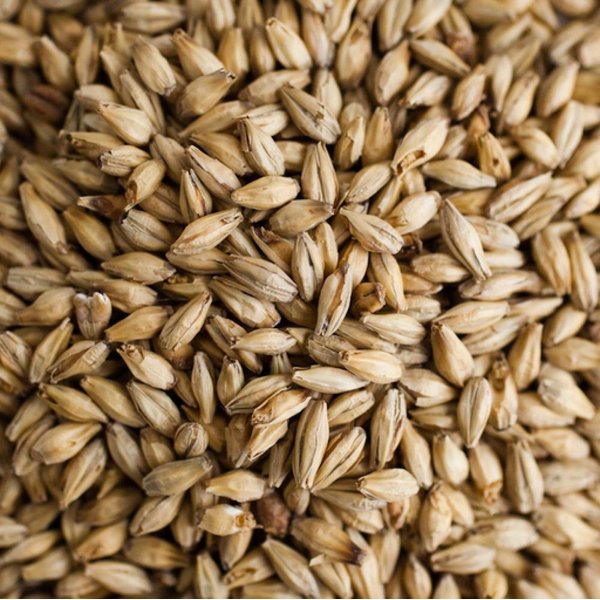 Briess Cherry Wood Smoked Malt - 1 LB, Uncrushed