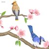 DECOWALL DWL-2009 Garden Birds and Cherry Blossom Wall Stickers Wall Decals Peel and Stick Removable Wall Stickers for Kids Nursery Bedroom Living Room d?cor