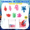 Under the Sea Party Favors Ocean Sea Animals Themed Party Supplies for Boys Girls, Bracelet Tattoo Sticker Stampers Keychain Ocean Sea Goodie Bag Fillers for Birthday Party Classroom Rewards (144 Pcs)