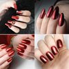 Red Chrome Nail Powder Nail Mirror Glitter Powder Holographic Magic Metallic Mirror Effect Manicure Glitter Pigment Dust Decorations with Tool（2 Boxes）