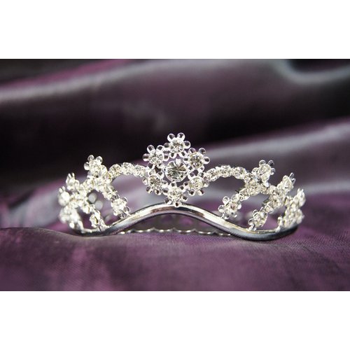 Beautiful Princess Bridal Wedding Tiara Crown with Crystal Flower C17997