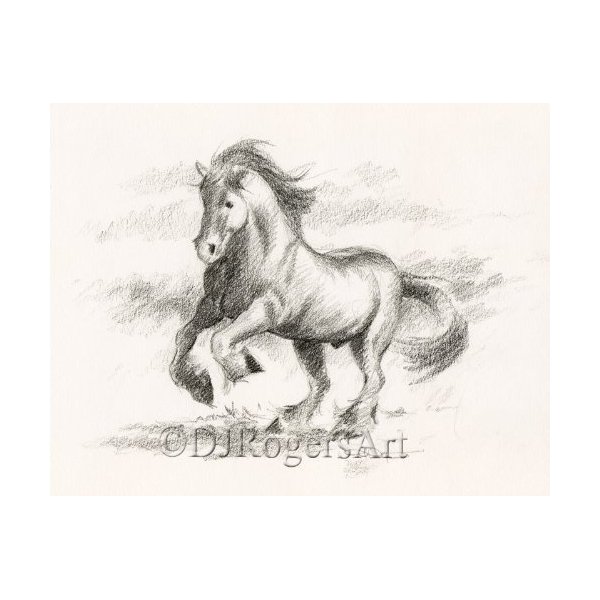 Horse Pencil Drawing Art Print by Artist DJ Rogers