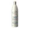 Il Salone Milano Detox Shampoo for All Hair Types - Clarifying Shampoo with Charcoal Powder - Scalp Cleanser to Detox - Restores Broken Bonds & Adds Softness - Professional Haircare (16.9 oz / 500 ml)