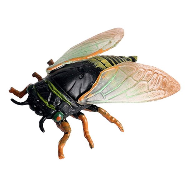 Flormoon Realistic Animal Figures Cicada Figurines Insect Toy, Science Project, Cake Topper, Early Educational Toys Birthday for Toddlers Kids Age 3 4 5