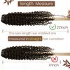 Hetto Curly Hair Clip in Extensions Human Hair #2 Darkest Brown Curly Clip in Human Hair Extensions Natural Wavy Clip in Hair Extensions Human Hair 18 Inch 7Pcs 105g
