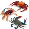Realistic 6 PCS Ocean Sea Marine Animal Model Figures Crab Hermit Crab Family Party Favors Supplies Cake Toppers Set Toys for Boys Girls Kids