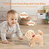 Monealpis Interactive Walking Dog Toy - Toddler Walking Plush Dog Toys for Kids, Toys for Girls 2 Years Old - Electronic Golden Retriever Plush Toy with Singing, Barking, and Tail Wagging