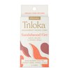 Triloka Incense Cones, Sandalwood Fire, 20 Grams