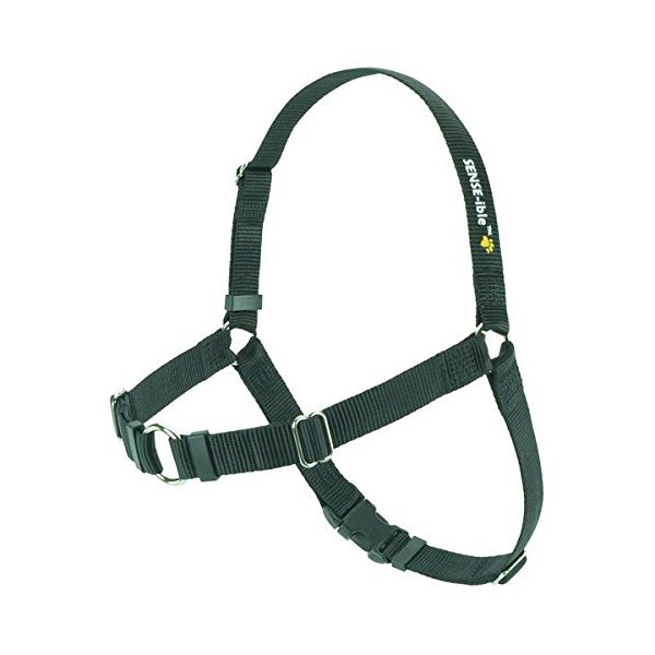 Softouch Sense-ible No-Pull Dog Harness (Black, Extra Small)