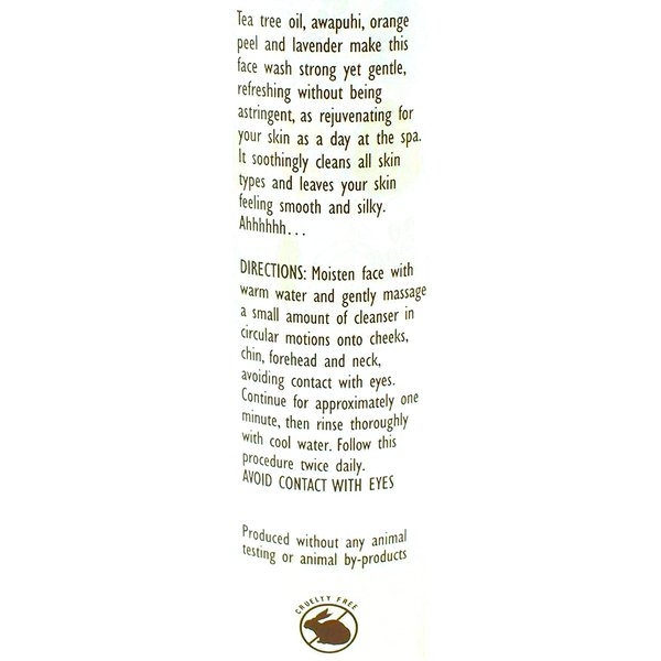 Trader Joe's Spa Face Wash with Tea Tree Oil (2 Packs)